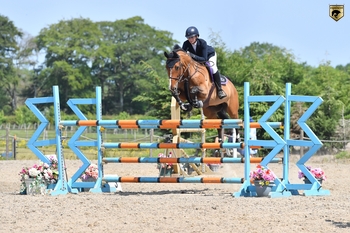 Gillian Anderson secures victory in the NAF Five Star Summer Silver League Qualifier riding Stand Up at Muirmill Equestrian Centre